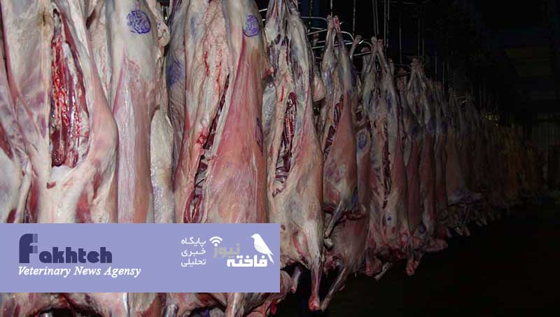 3 توصیه‌ فرماندار دنا به کشتارگاه‌ها/ضرب‌الاجل درخشان‌زاده برای رفع نگرانی دامپزشکی