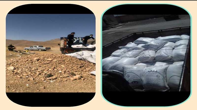  سرپرست اداره دامپزشکی شهرستان کنگاور: توقیف 40کیسه پودر گوشت بدون هویت در کرمانشاه