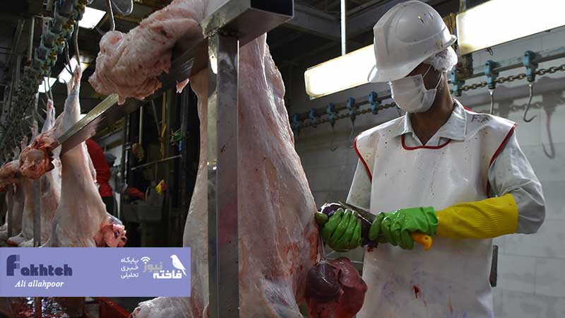 وعده افزایش کشتارگاه های صنعتی درجا زد!
