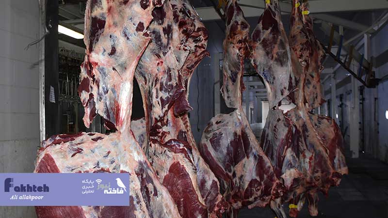 در کشتارگاه دام اراک چه می گذرد؟ عدم وجود دامپزشک در کشتارگاه/کشتار دام در کشتارگاه اراک به بدترین شکل ممکن انجام می‌شود