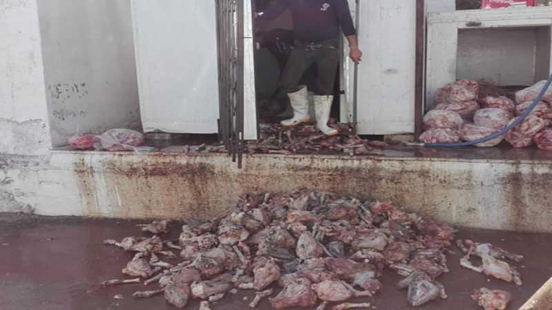 80 تُن کله پاچه غیر بهداشتی در اصفهان کشف و معدوم شد