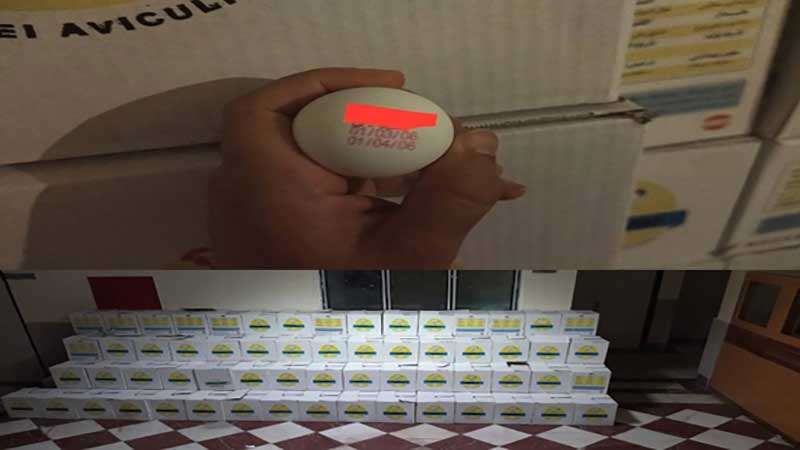 کشف تخم مرغ هایی که قرار است روزهای بعد تولید شوند!