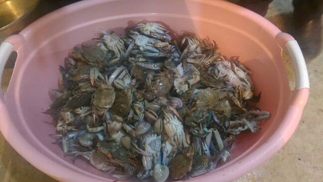 کشف و ضبط فرآورده های دریایی غیر حلال گوشت در فردیس