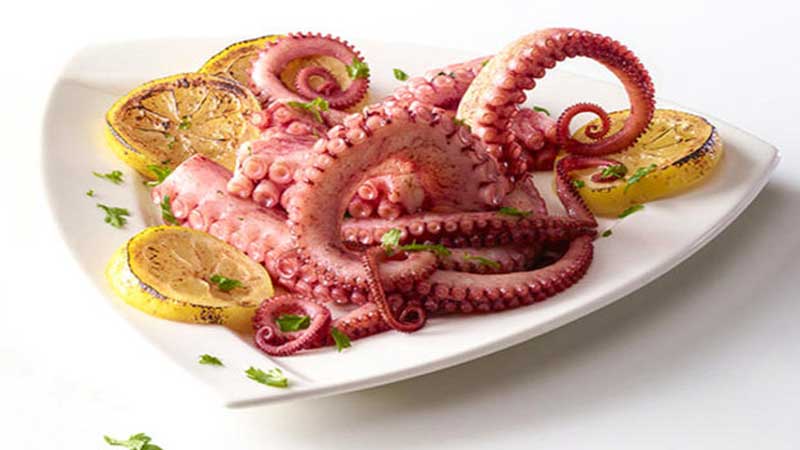 مقابله با فروش آبزیان غیرخوراکی در دستور کار شیلات