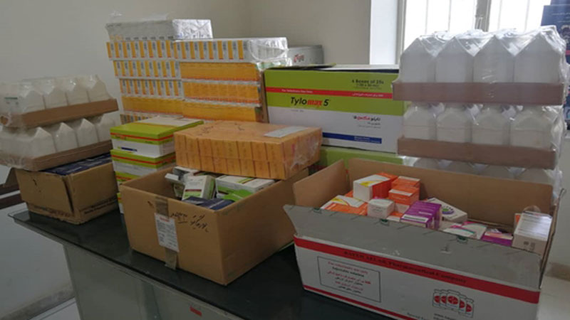 کشف 37 قلم داروی تقلبی و تاریخ گذشته به ارزش تقریبی یک میلیارد و 200 میلیون ریال در شهرستان تربت جام