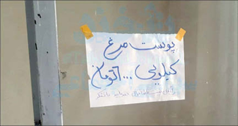 آیا روی آوردن مردم به مصرف پوست مرغ صحت دارد؟ 