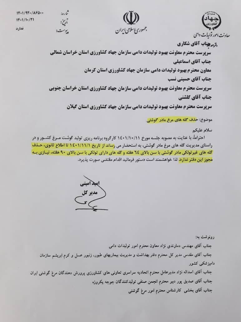 اجازه وزارت جهاد کشاورزی به مرغداران برای حذف گلههای مرغ مادر گوشتی بالای ۶۴ هفته