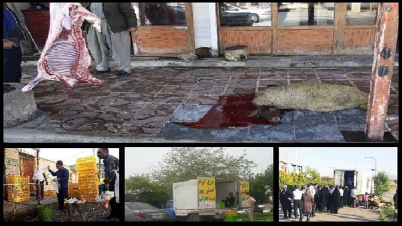 بازار گرم لاشه‌های غیرمجاز در روزهای کرونایی/ پاسکاری نظارتی‌ها