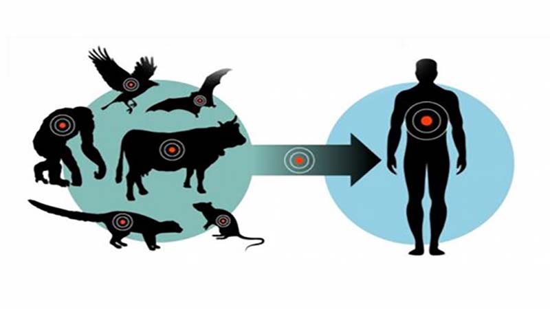 اعتبار مبارزه با بیماری‌های مشترک در سال ۹۹؛ صفر!