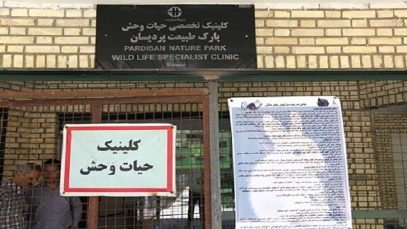 تنها مرکز تخصصی بازپروری حیات وحش در آستانه تعطیلی