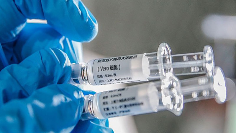 مثبت بودن نتایج تست واکسن کرونا روی حیوانات، محققان را امیدوار کرد