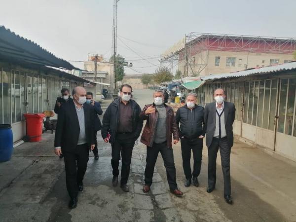 بازدید کارشناسی معاون بهداشتی و پیشگیری سازمان دامپزشکی کشور و هیئت همراه  از بازار پرندگان زینتی خلیج فارس تهران+تصاویر