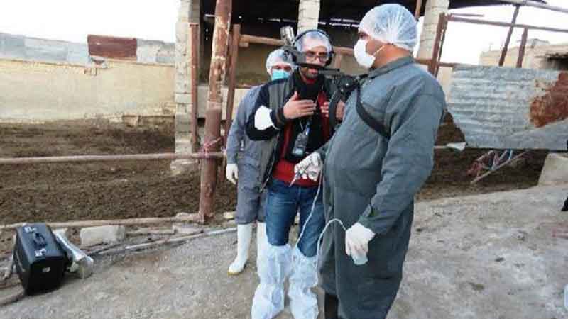تصویربرداری ساخت مستند تلویزیونی یک روز با دامپزشکی، سربازان بی ادعای عرصه و بهداشت در شهرستان مبارکه به پایان رسید+(تصاویر)