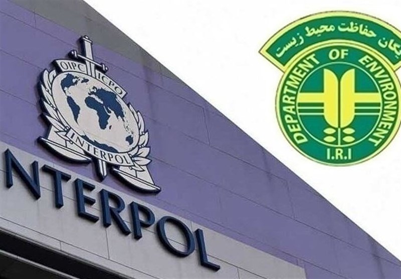 کمیته مشترک اینترپل و محیط‌زیست برای مهار قاچاق حیات وحش تشکیل می‌شود 
