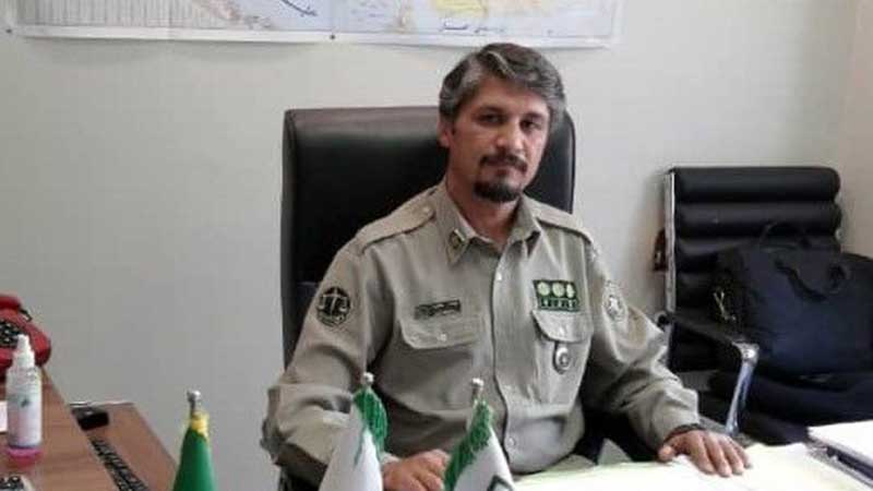  رئیس مرکز سایبری حفاظت محیط زیست: با جراحی زیبایی حیوانات برخورد می‌شود