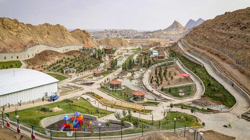 تلف شدن پرندگان قم سوژه رسانه‌های معاند/دامپزشکی خسارت پرداخت کند