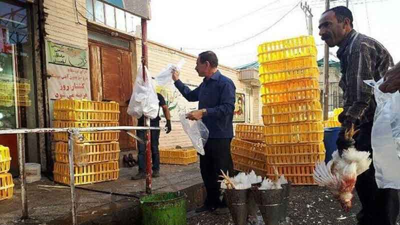 ۱۳ مرکز ذبح و عرضه مرغ زنده در اشنویه جمع‌آوری شد