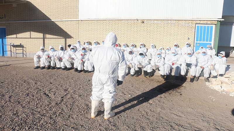 پایان عملیات معدوم سازی و مهار سه کانون آنفلوانزای فوق حاد در استان خراسان جنوبی