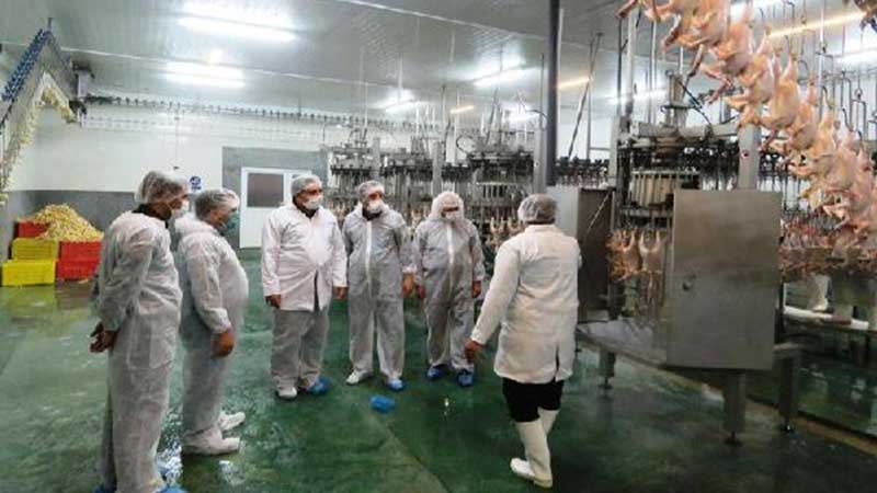 مدیرکل دیوان محاسبات استان اصفهان: نیروهای دامپزشکی با جان و دل در زمینه ارتقاء بهداشت و حفظ سلامت مردم تلاش می نمایند